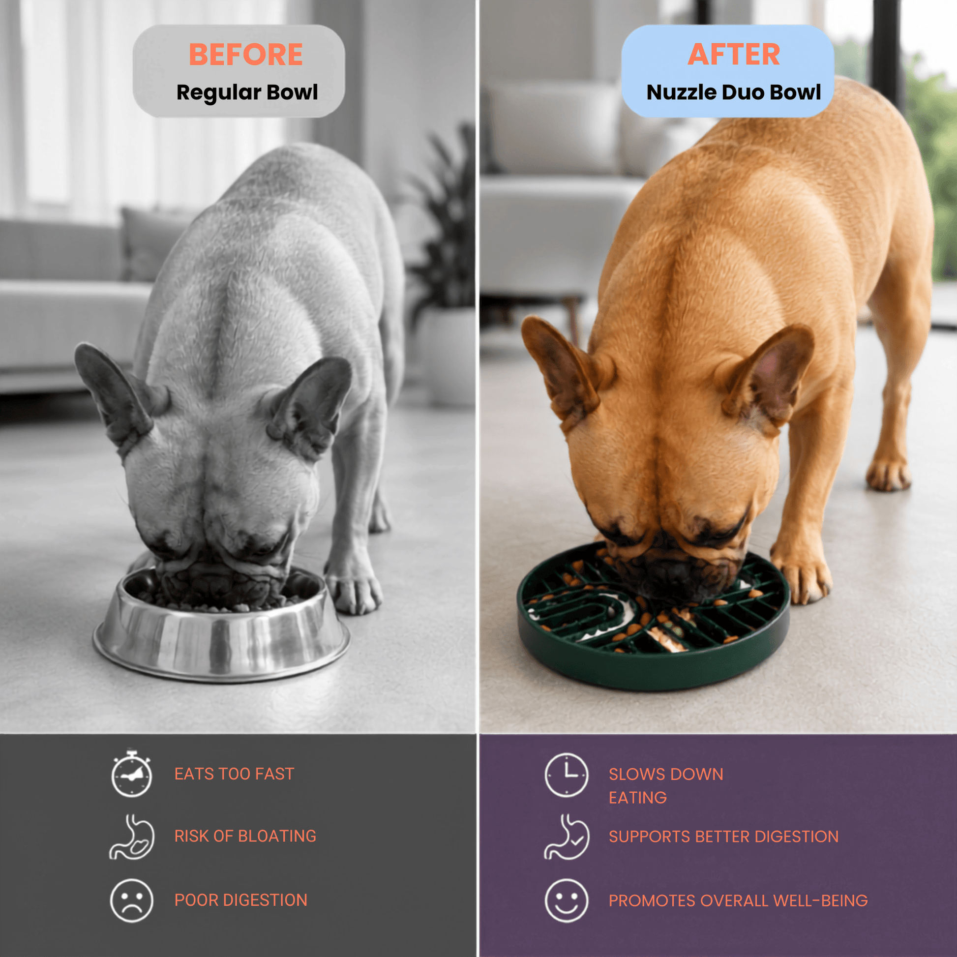 Before and After comparison showing a French Bulldog eating fast from a regular metal bowl versus eating slowly from the Woopsi Nuzzle Duo Bowl, promoting better digestion and slowing down mealtime.
