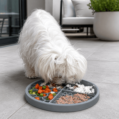 Nuzzle Duo Bowl