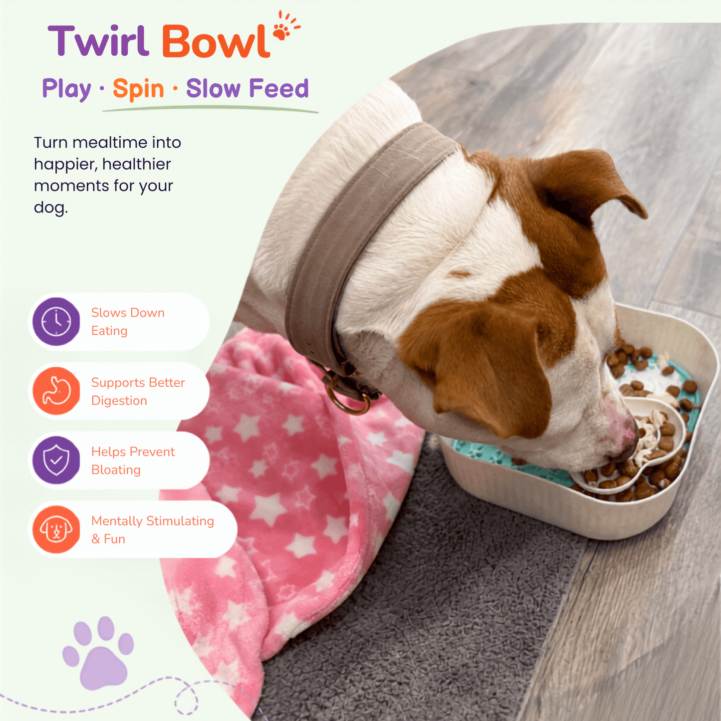 A brown and white dog using the Woopsi Twirl Bowl slow feeder on a rug, featured alongside benefit icons like slow eating and digestion support.