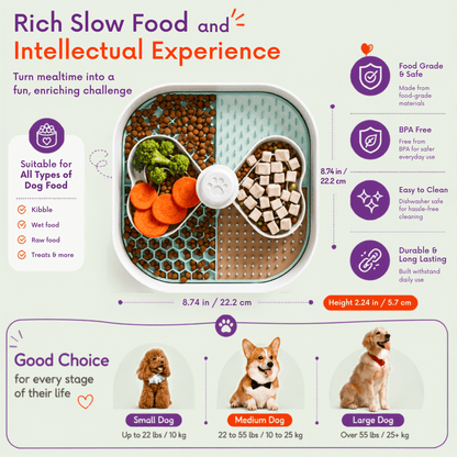 Detailed infographic of the Woopsi Twirl Bowl highlighting food safety features, dimensions, food types, and suitability for small, medium, and large dogs.