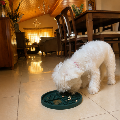Nuzzle Duo Bowl
