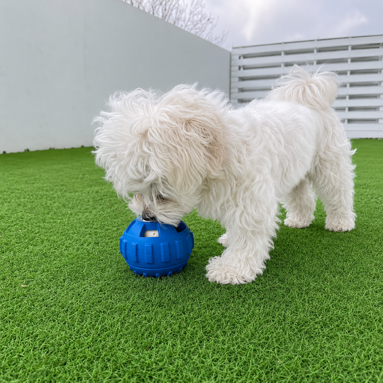 ChillBall