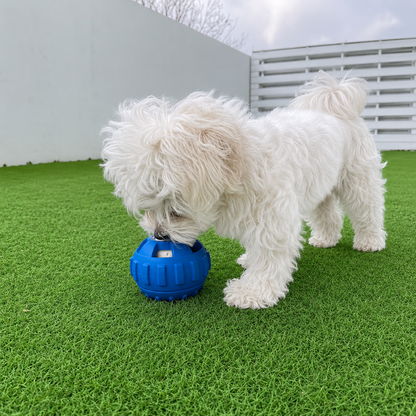 ChillBall