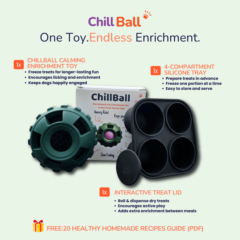 Infographic showcasing the Woopsi ChillBall dog enrichment toy components: the calming toy, a 4-compartment silicone freezing tray, and an interactive treat lid. Text details the features and a free recipe guide offer.