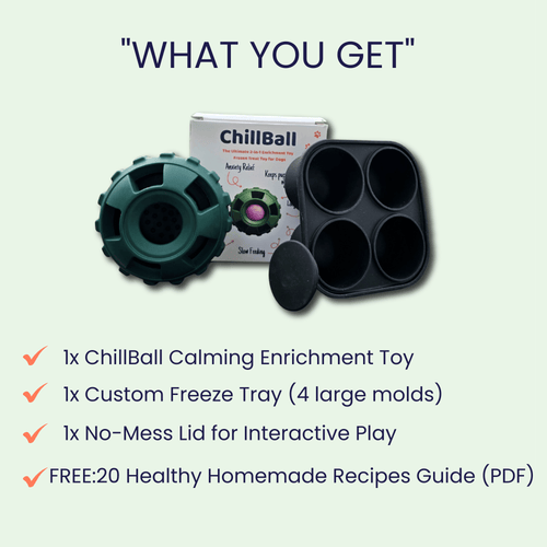 Woopsi ChillBall product bundle kit including the green calming enrichment dog toy, custom freeze tray, no-mess lid, and free healthy recipes guide PDF.