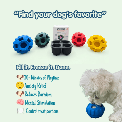 Four colorful Woopsi ChillBall dog toys in blue, green, red, and yellow with a white puppy playing, showcasing anxiety relief and mental stimulation benefits.