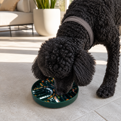 Nuzzle Duo Bowl