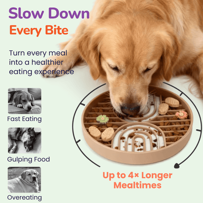 Golden Retriever eating from the Woopsi Nuzzle Duo Bowl slow feeder, extending mealtime up to 4x longer to prevent fast eating, gulping food, and overeating.